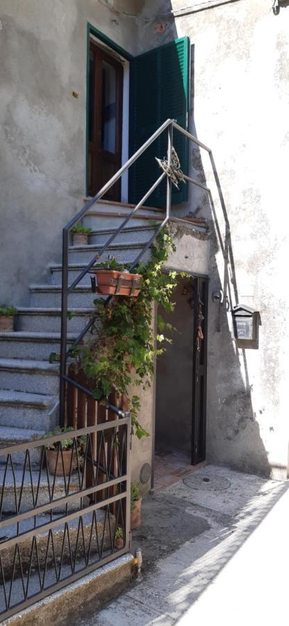 Nicolas House Campiglia dʼOrcia Εξωτερικό φωτογραφία