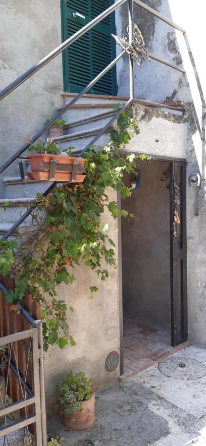 Nicolas House Campiglia dʼOrcia Εξωτερικό φωτογραφία